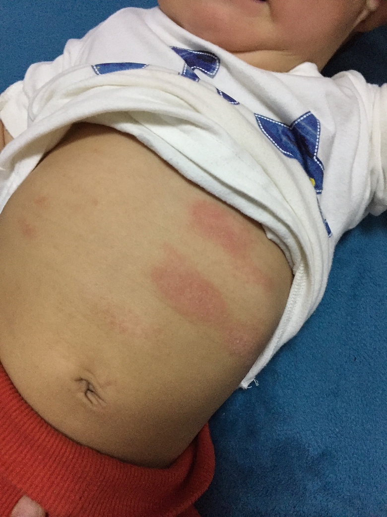 ����ʪ�����أ�8�����£����������������æ��