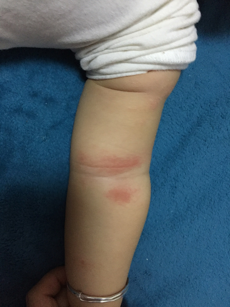 ����ʪ�����أ�8�����£����������������æ��