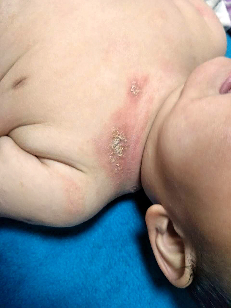 ����ʪ�����أ�8�����£����������������æ��