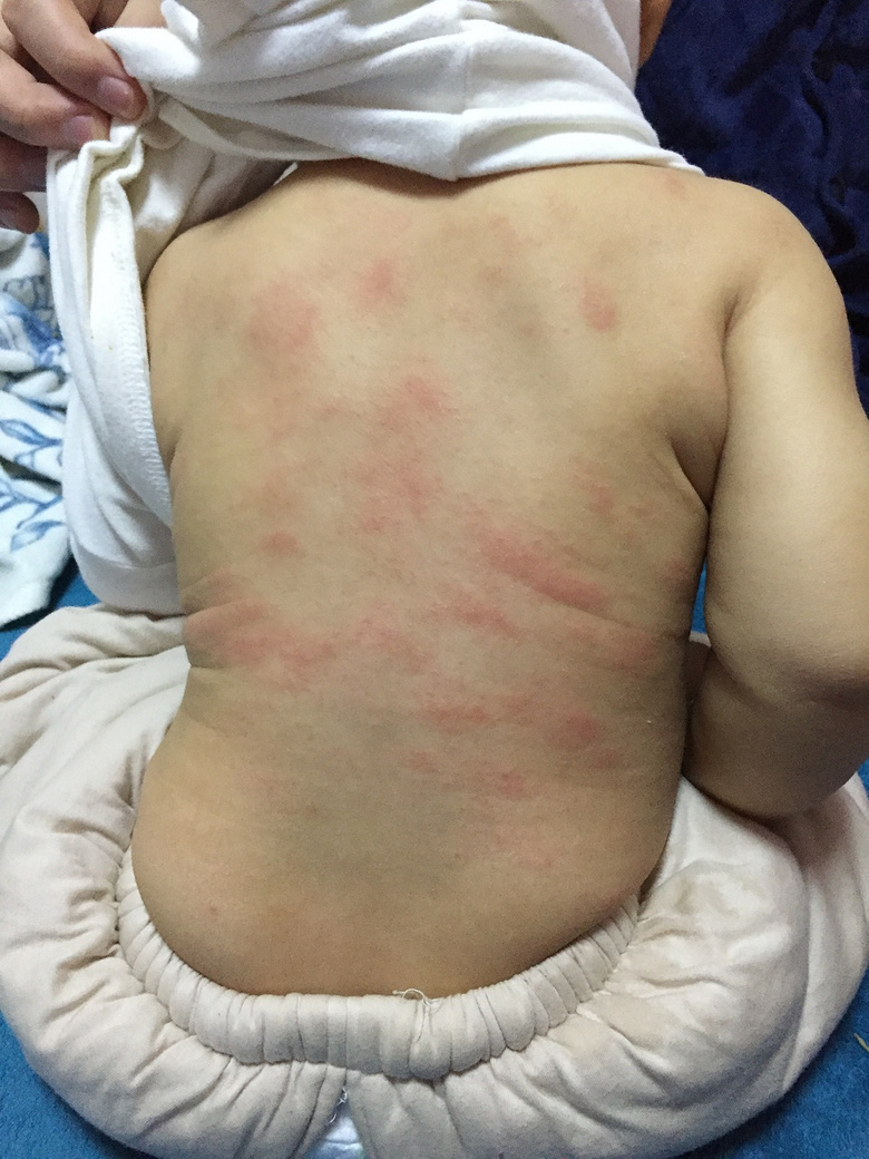 ����ʪ�����أ�8�����£����������������æ��