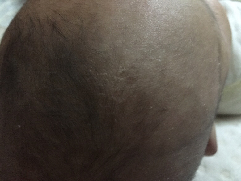 ʪ������