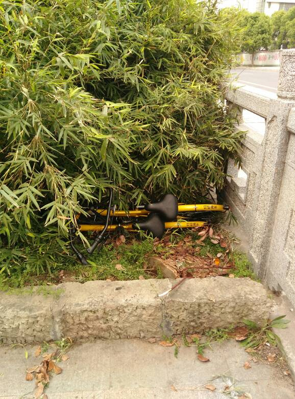 С�Ƴ���ô��������