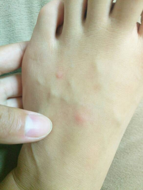 ���ǹ�������