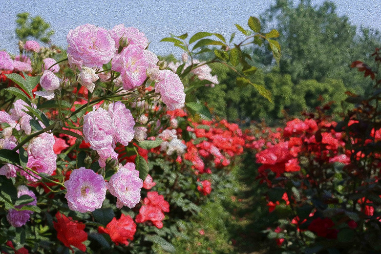 �²�����������˱���Ŷ