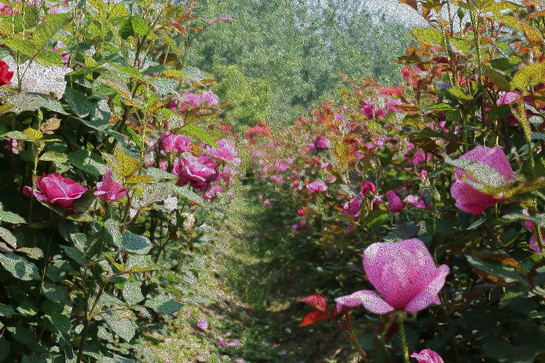 �²�����������˱���Ŷ