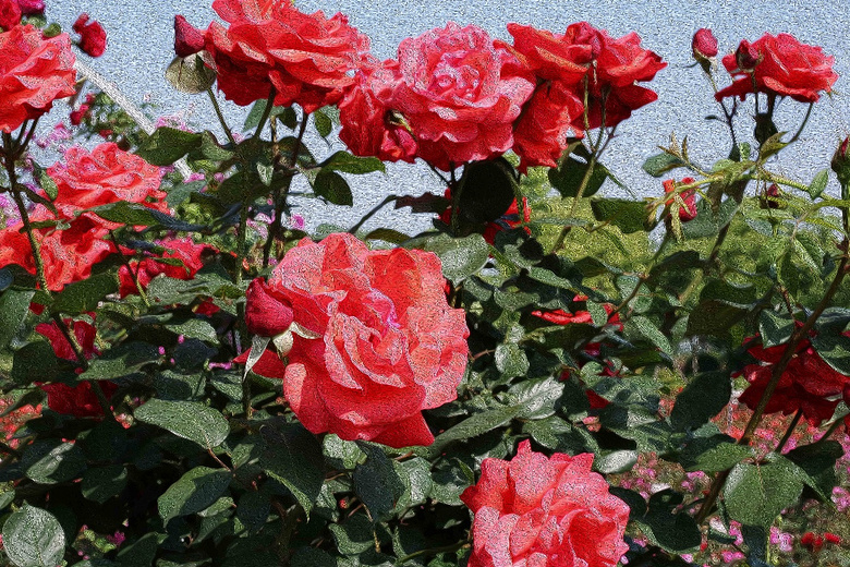 �²�����������˱���Ŷ