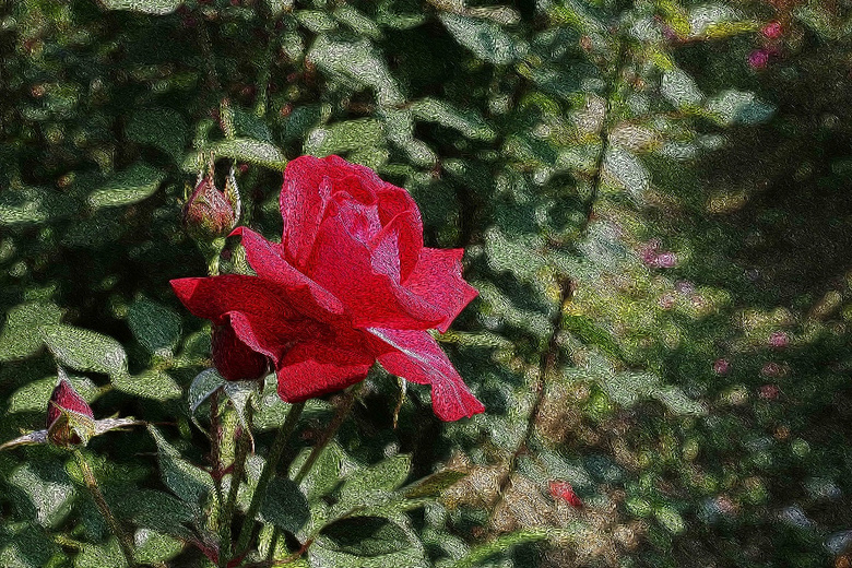 �²�����������˱���Ŷ