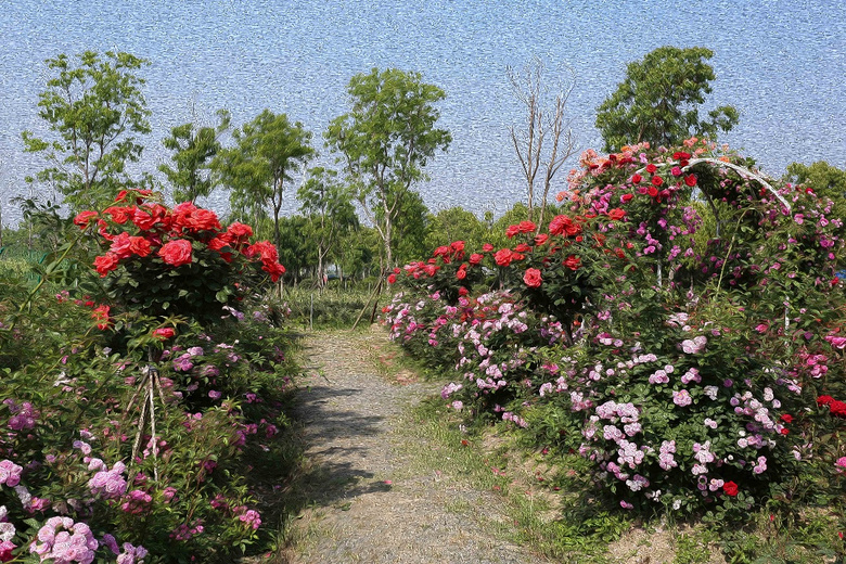 �²�����������˱���Ŷ