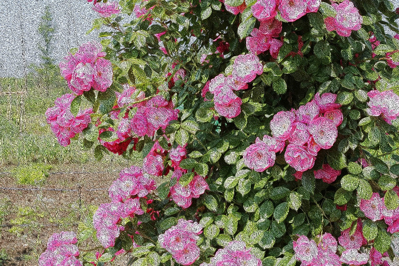 �²�����������˱���Ŷ