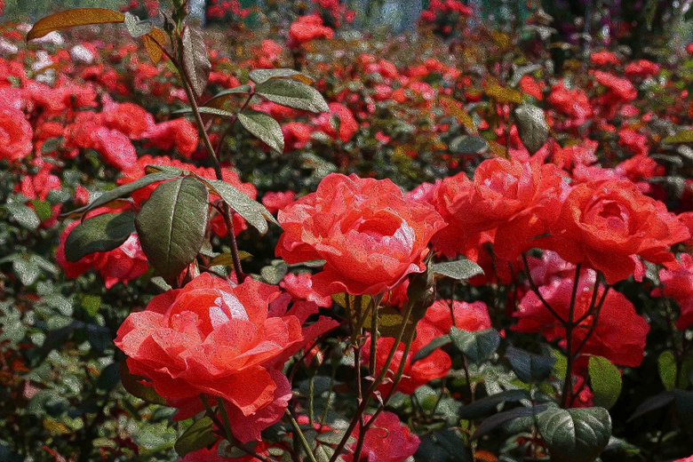 �²�����������˱���Ŷ