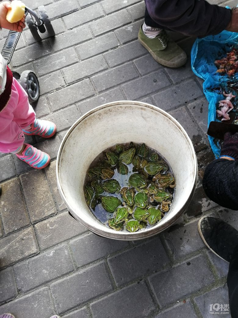 绿的青娃吃?情缘视频教学舞蹈电话图片