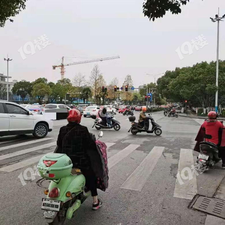 周一嘉兴全城大堵车全线飘红中环南路中环东路都快开哭了