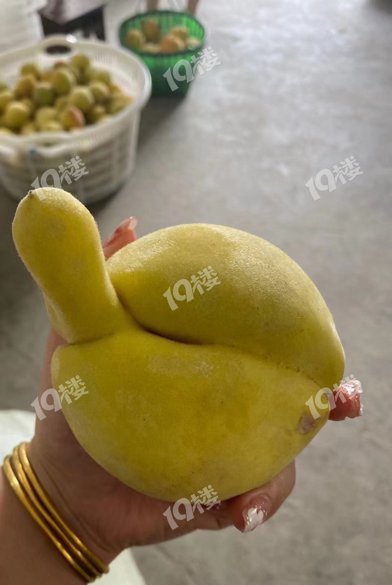 这黄桃好有内涵