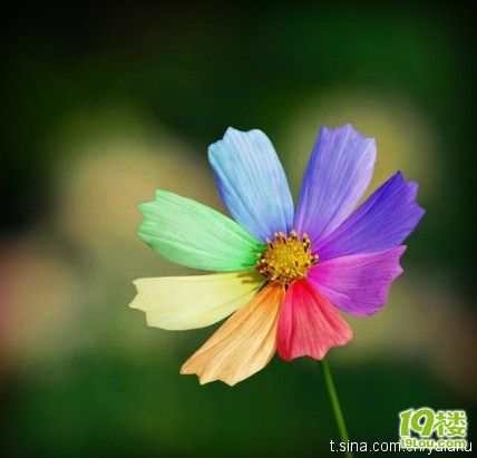 工行的市场营销岗位职能是什么?-讲空头-嘉兴