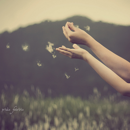 【治愈心理学】每个人心中都有放不下也忘不掉