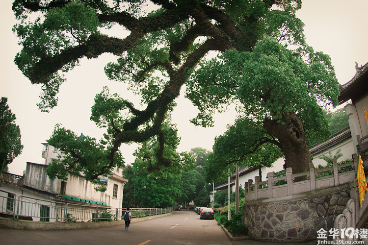 岁月蹉跎 时光荏苒