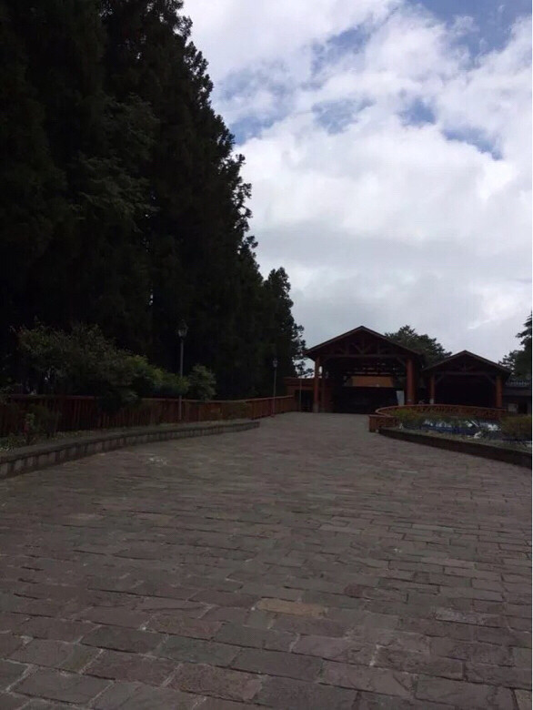 玩完了,收心了…只是心情一直闷闷不乐-恋爱情