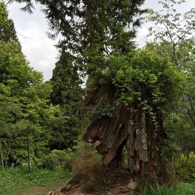 玩完了,收心了…只是心情一直闷闷不乐-恋爱情