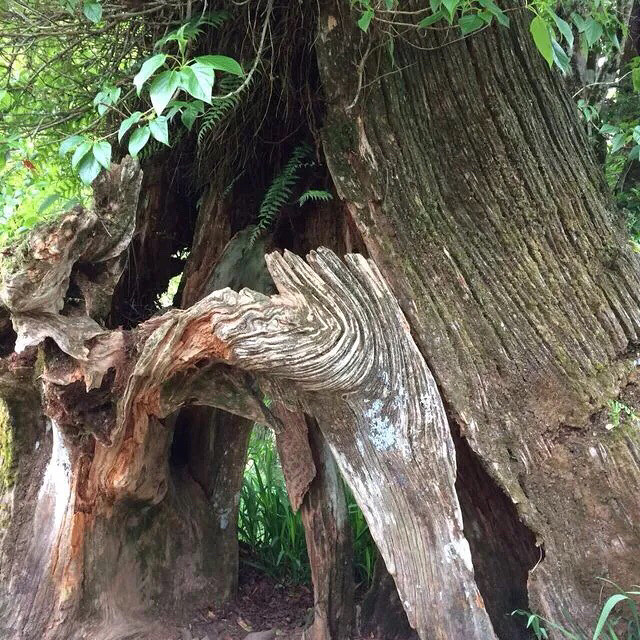 玩完了,收心了…只是心情一直闷闷不乐-恋爱情