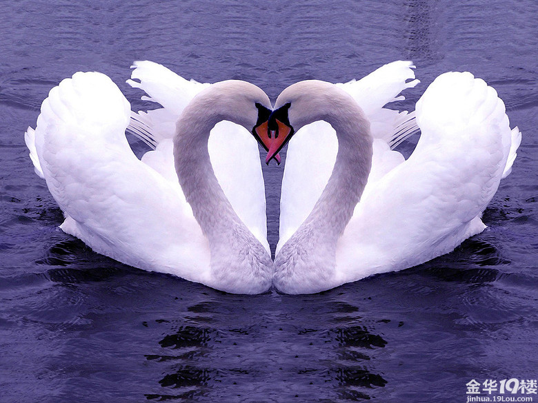 有一种伤害叫无微不至-我也来侃侃-金华消息