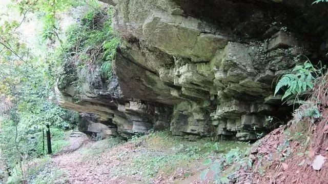 拓展森林生态休闲游内涵,拟建立义乌萧皇岩金华市级森林公园