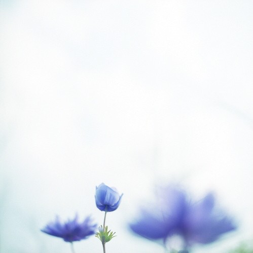 如果世界末日-你还要在这座可怕的城池里吗?-