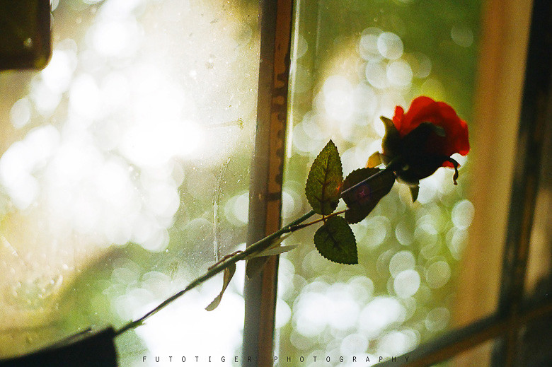 苏莫_<em>因为是女子</em> (已更新)-晒<em>照片</em>-行行摄摄-临