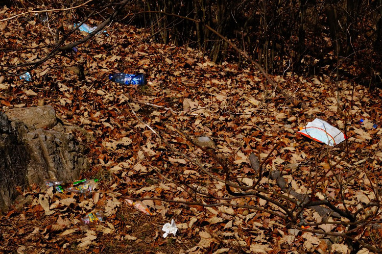 写在志愿者日:天目七尖上的垃圾怎么办?-户外