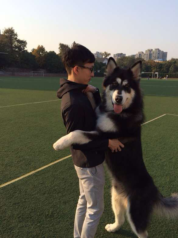 公阿拉<em>找个</em>老婆,<em>美女</em>们进来<em>看看</em>哈-临安消息-临