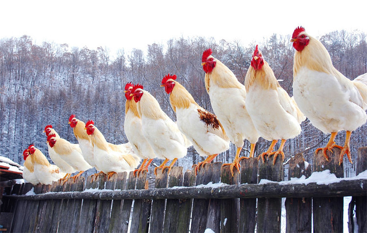 浙江省高中排名\/前120. 我大临安中学排名最后