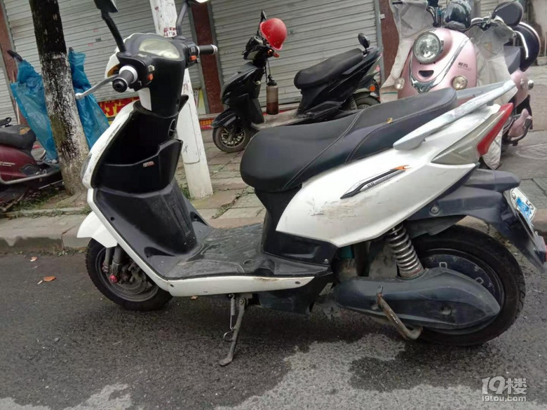 电动车急售-二手闲置-临安19楼