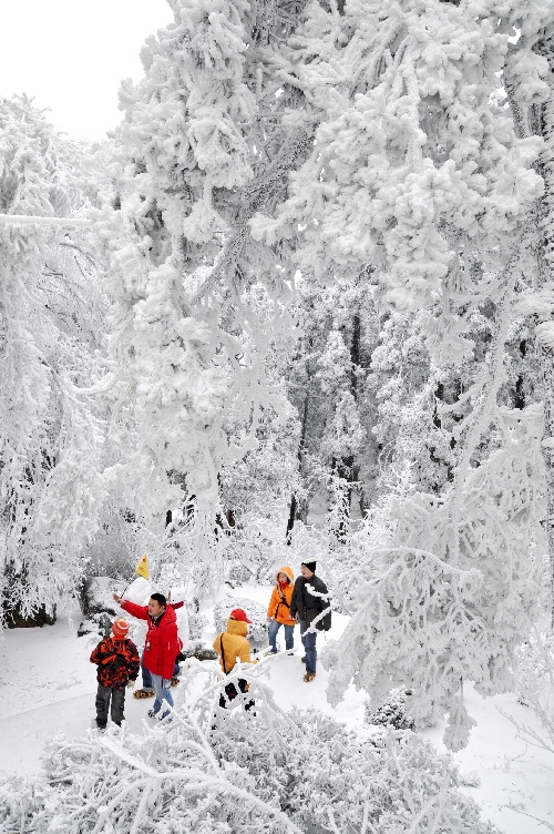 去庐山看雪 泡温泉 有没有一起自驾的?