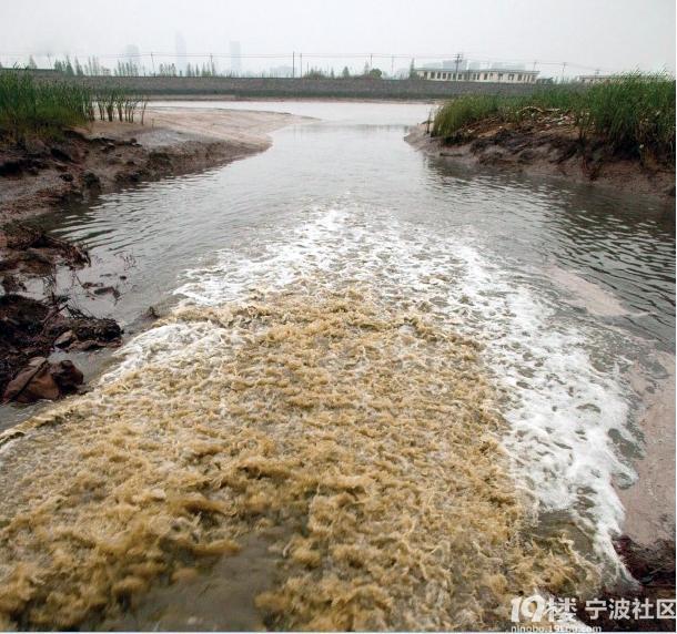 触目惊心:雅戈尔排污严重,奉化江遭受持续污染