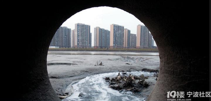 触目惊心:雅戈尔排污严重,奉化江遭受持续污染