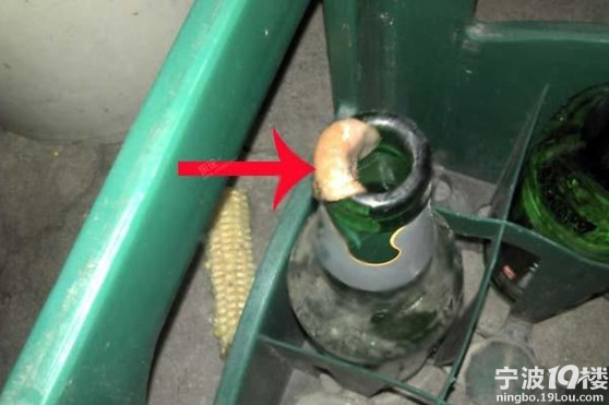 雪花啤酒怎么那么恶心 一打开就这样-宁波消息