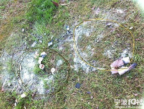 雅戈尔世纪花园烟花燃放引发大火 烧掉五层住