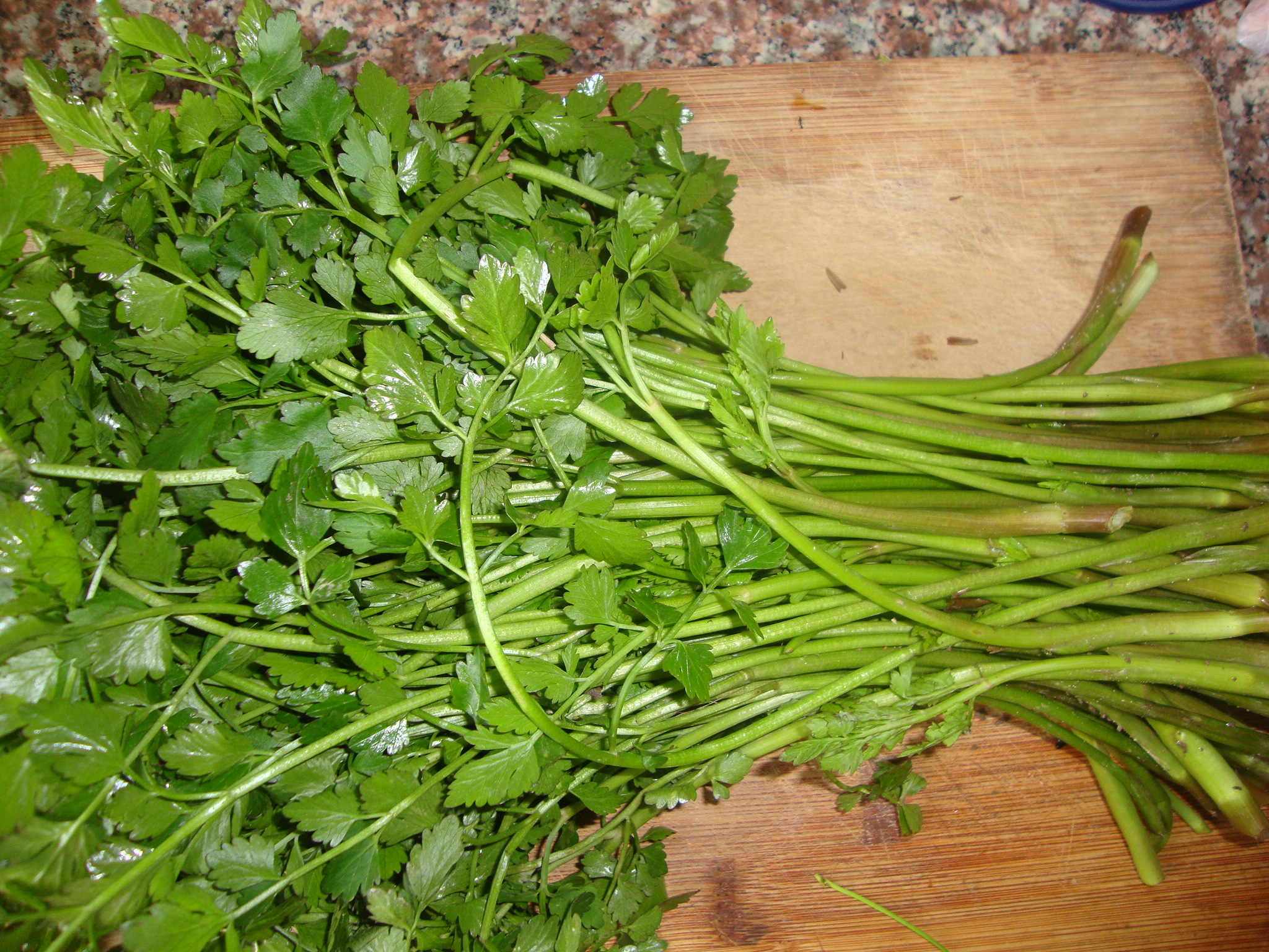 绿色蔬菜芹菜摄影图高清摄影大图-千库网