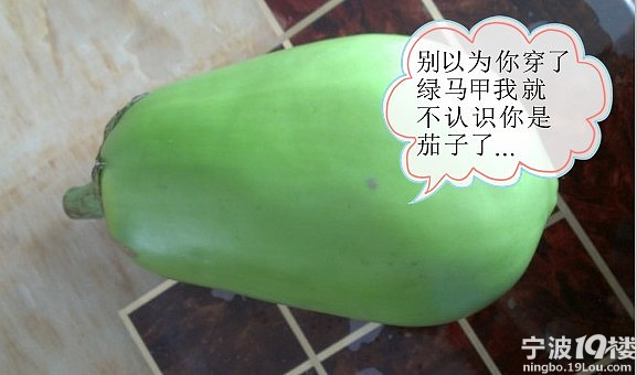 别以为<em>你穿</em>了绿马甲<em>我就不认识你</em>是茄子-宁波