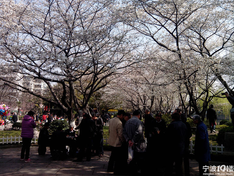 单身日记篇(3)-好天气 3月21号-情牵甬城-宁波