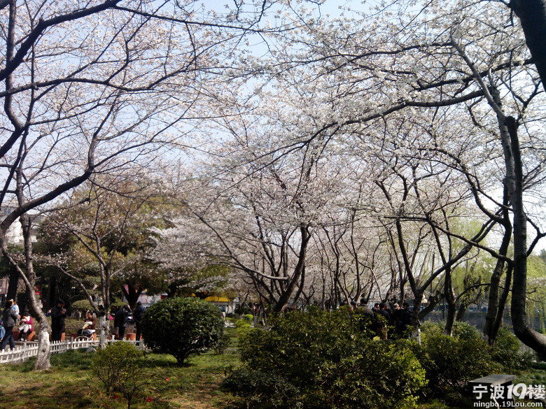 单身日记篇(3)-好天气 3月21号-情牵甬城-宁波