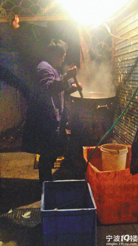 家禽交易市场仍有活鸡外流 活杀鸡 越来越走俏