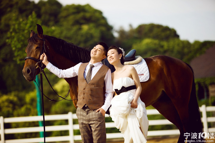 麦一个心 田一个愿,唯美大片有麦田献上-婚纱照