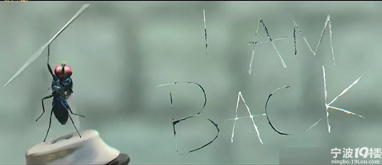 重磅推荐《功夫小蝇》-娱乐八卦-宁波19楼