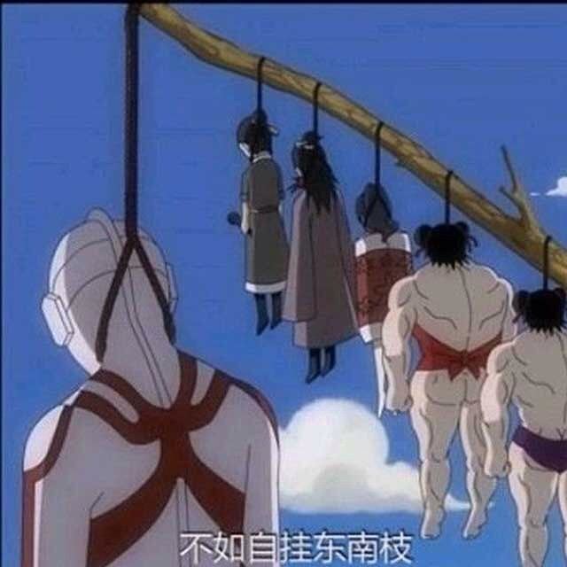 没事不如自挂东南枝…-淘男淘女-宁波19楼