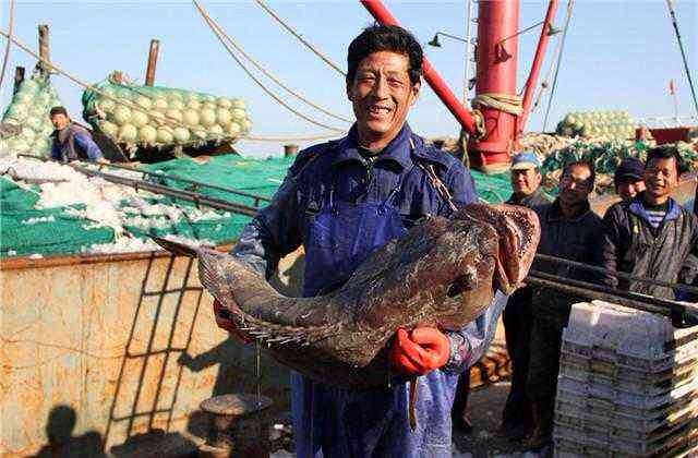 组图:浙江渔民捕获特大野生海鲫鱼 长90厘米重