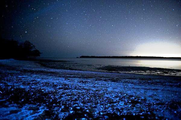 Vaadhoo岛边的蓝沙,地球的蓝色眼泪。-贴图-摄