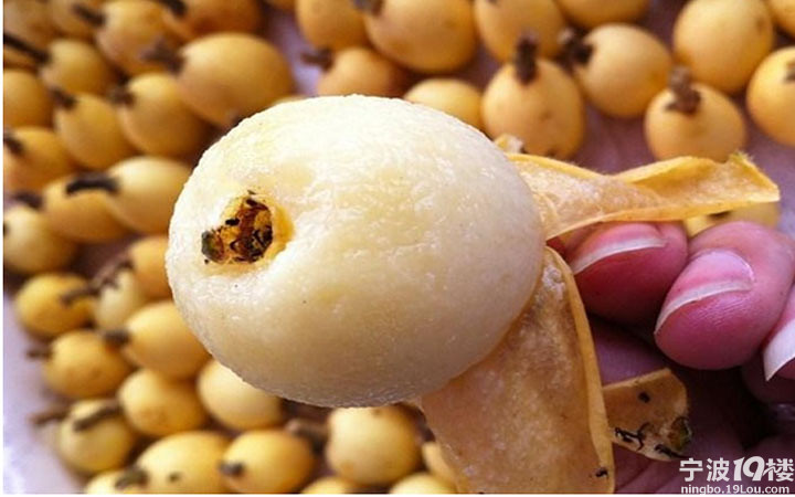 回顾五月自驾宁海一日游-周边游-结伴游玩-宁波