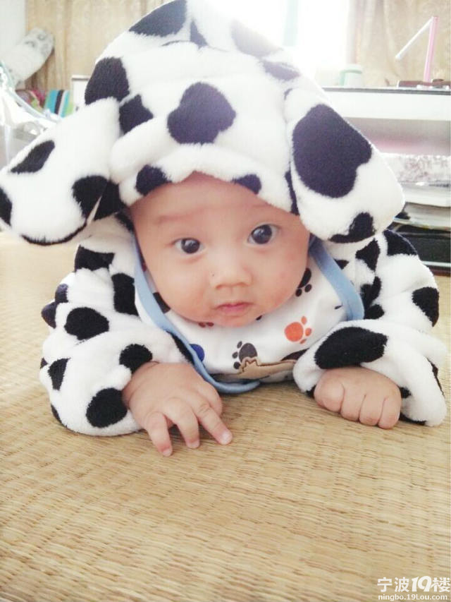 家有萌萌娃-婴儿期(0-12个月)-亲子乐园-宁波1