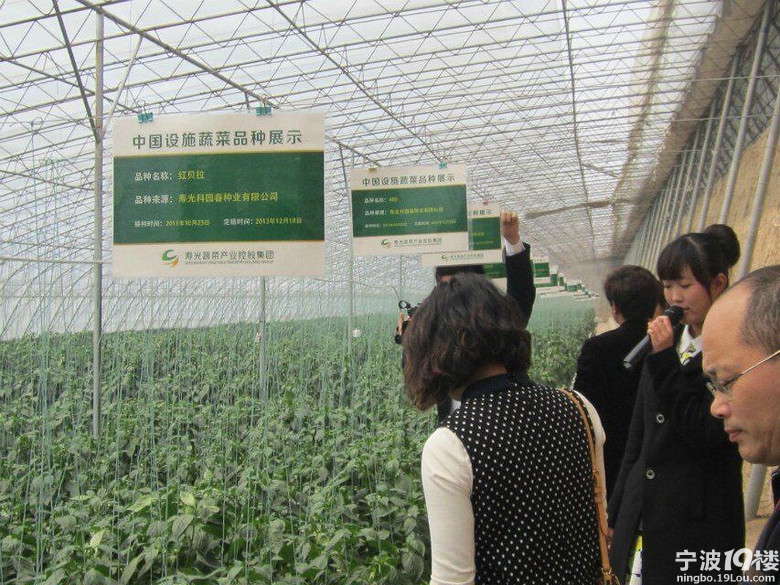 山东寿光蔬菜产业集团(天津)商品交易市场-热点