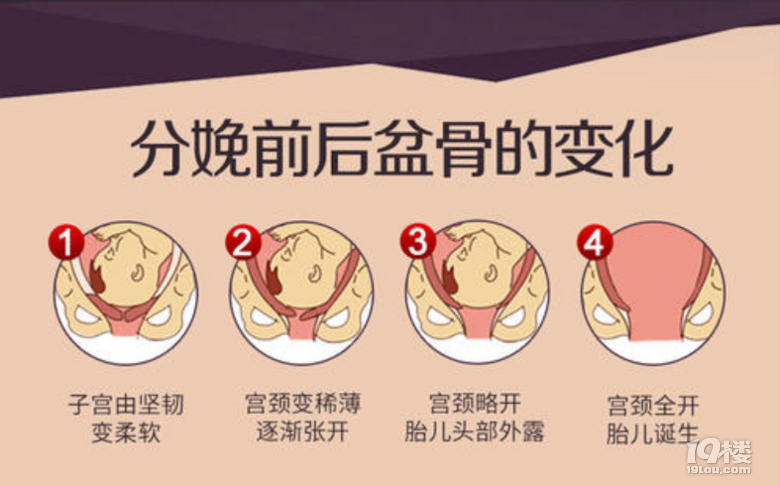 怀孕后你的内脏还好吗看完真的很心疼妈妈